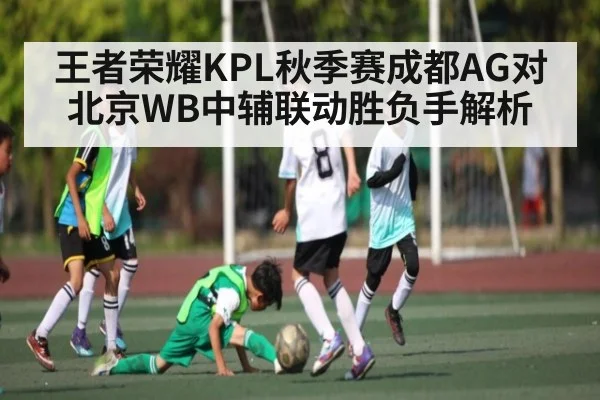 王者荣耀KPL秋季赛成都AG对北京WB中辅联动胜负手解析